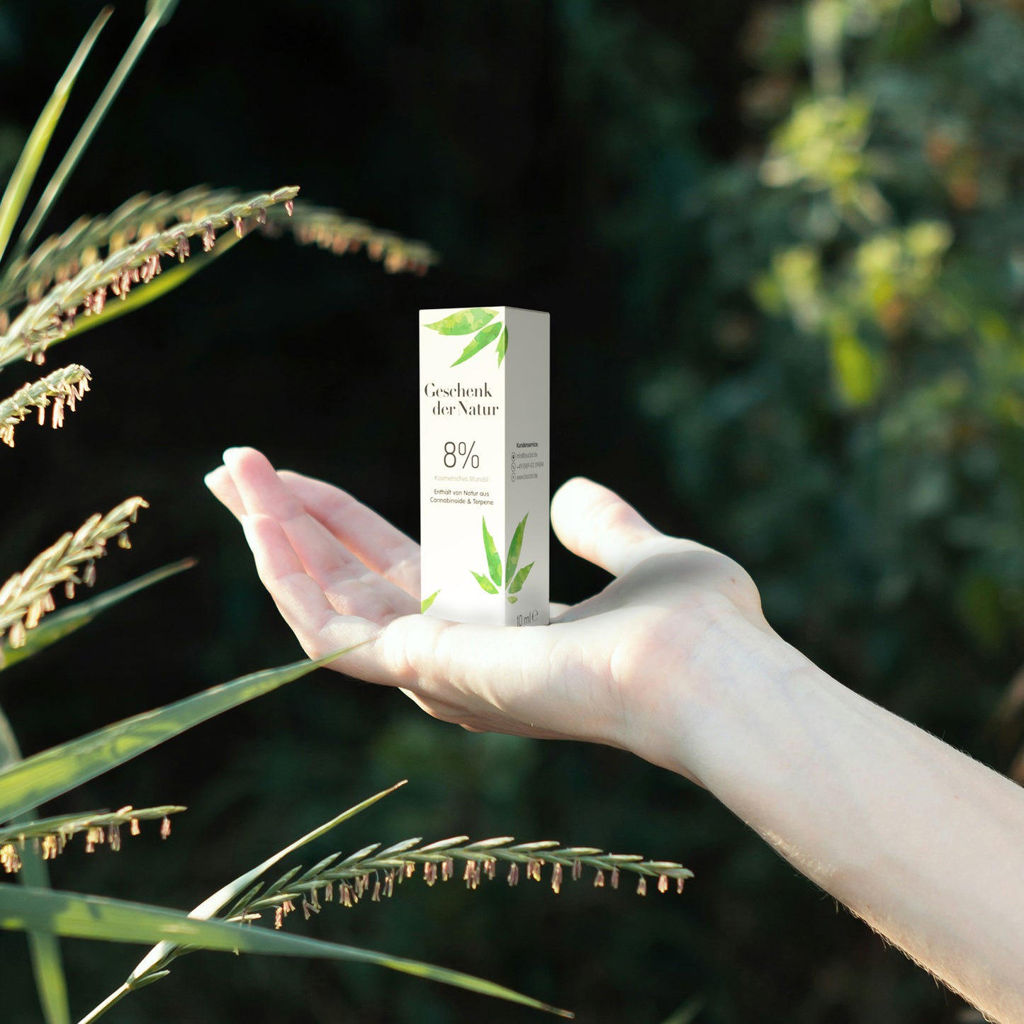 Hand hält die Geschenk der Natur 8% CBD Öl Flasche vor Blätterhintergrund
