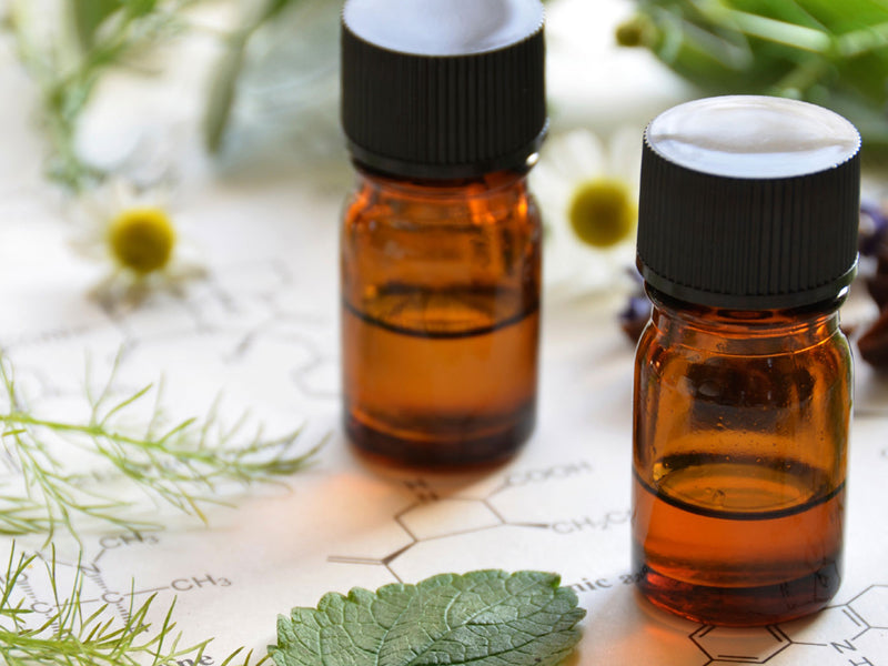 Wie wirkt CBD auf das Endocannabinoid System?