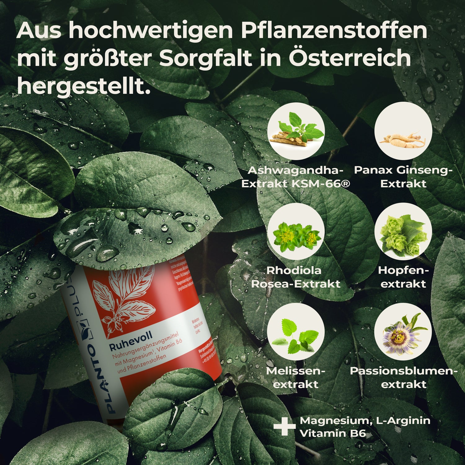 Ruhevoll Kapseln mit Bio-Ashwagandha