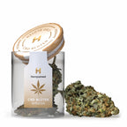 CBD-Blüten Amnesia – erstklassige Qualität, intensives Aroma und hoher CBD-Gehalt für ein einzigartiges Erlebnis.