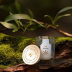 Stimmungsbild der CBD-Blüten Gorilla Glue – entspannende und erdige Aromen für einen beruhigenden Effekt.