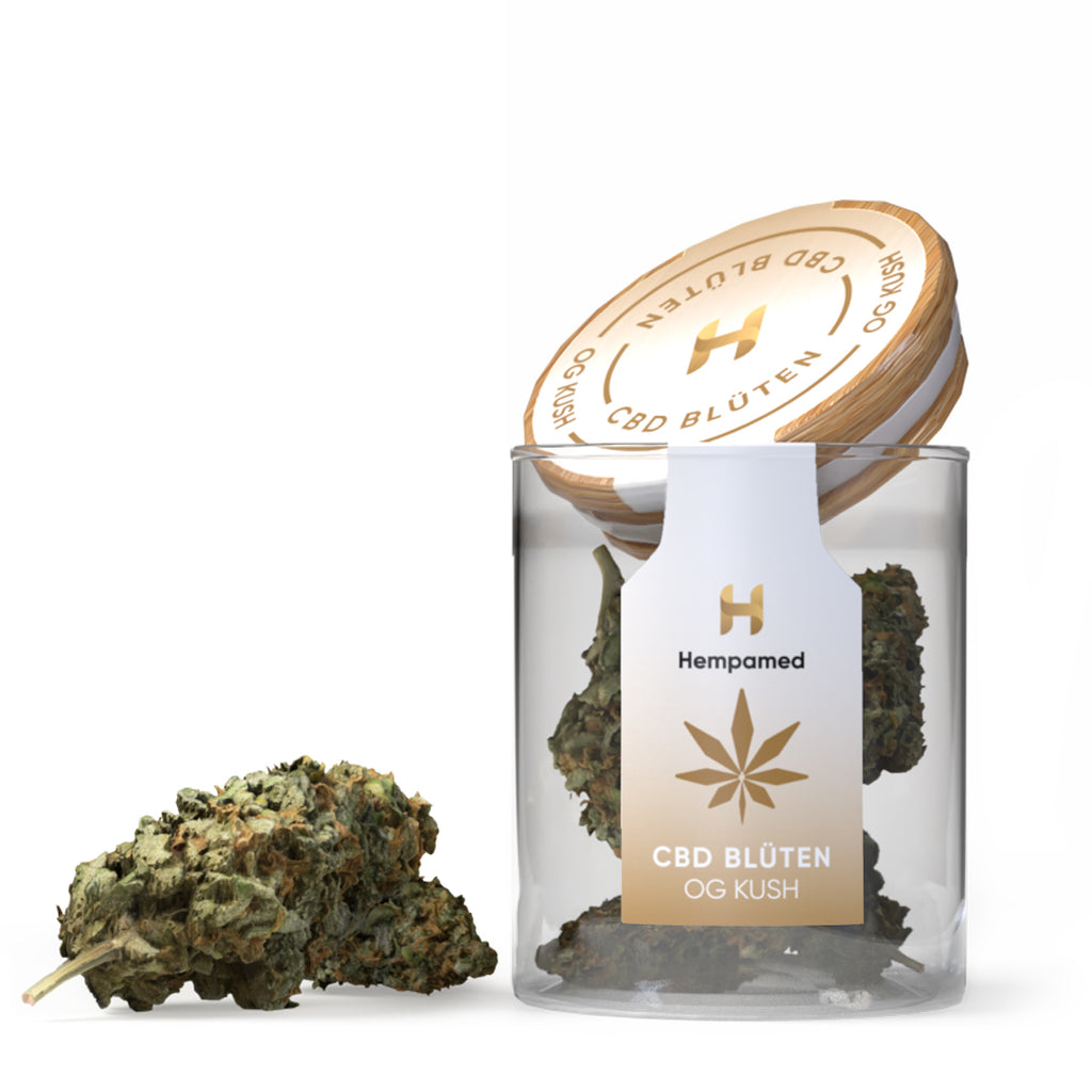 CBD-Blüten OG Kush – Premium-Qualität, kräftiges Aroma und hoher CBD-Gehalt für entspannte Momente.