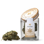 CBD-Blüten OG Kush – Premium-Qualität, kräftiges Aroma und hoher CBD-Gehalt für entspannte Momente.