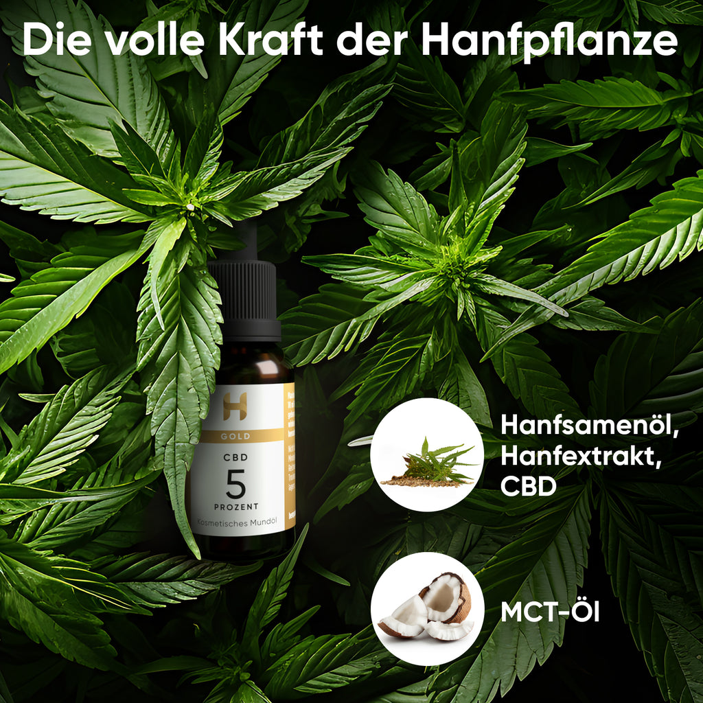 Hanfpflanzen für Hempamed Gold CBD Öl 5%, natürliche Basis des Produkts im Fokus.