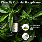 Hanfpflanzen für Hempamed Gold CBD Öl 5%, natürliche Basis des Produkts im Fokus.
