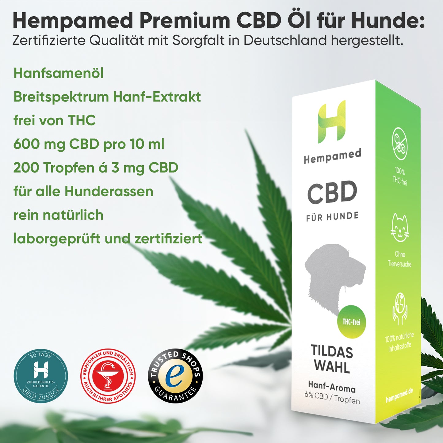 3x Premium CBD Öl für Hunde 6 % (Hanf-Aroma)