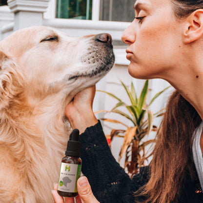 3x Premium CBD Öl für Hunde 6 % (Lachs-Aroma)