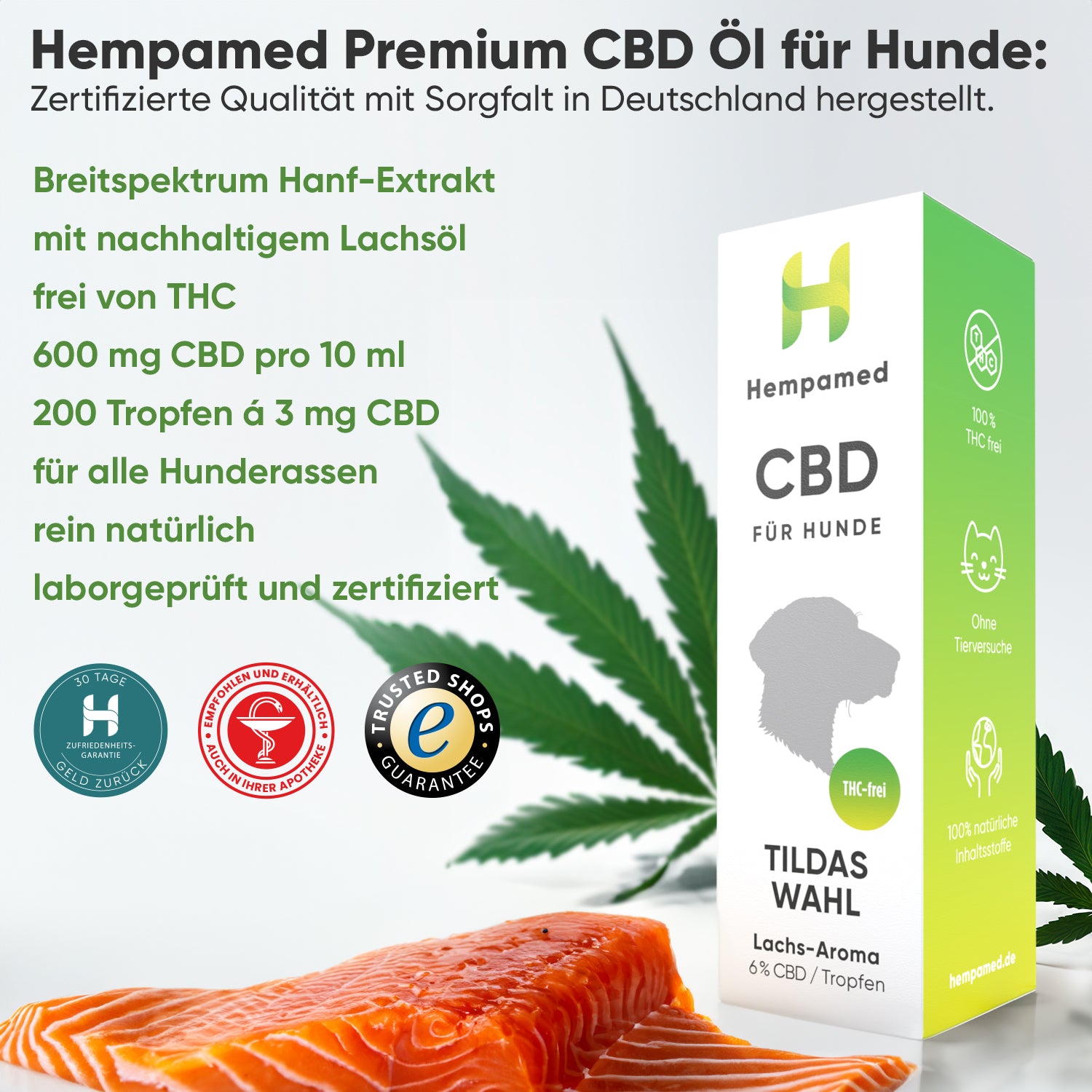 Grafik: Vorteile des Hempamed CBD Öls für Hunde mit Lachs, Übersicht der Anwendung und Wirkung.