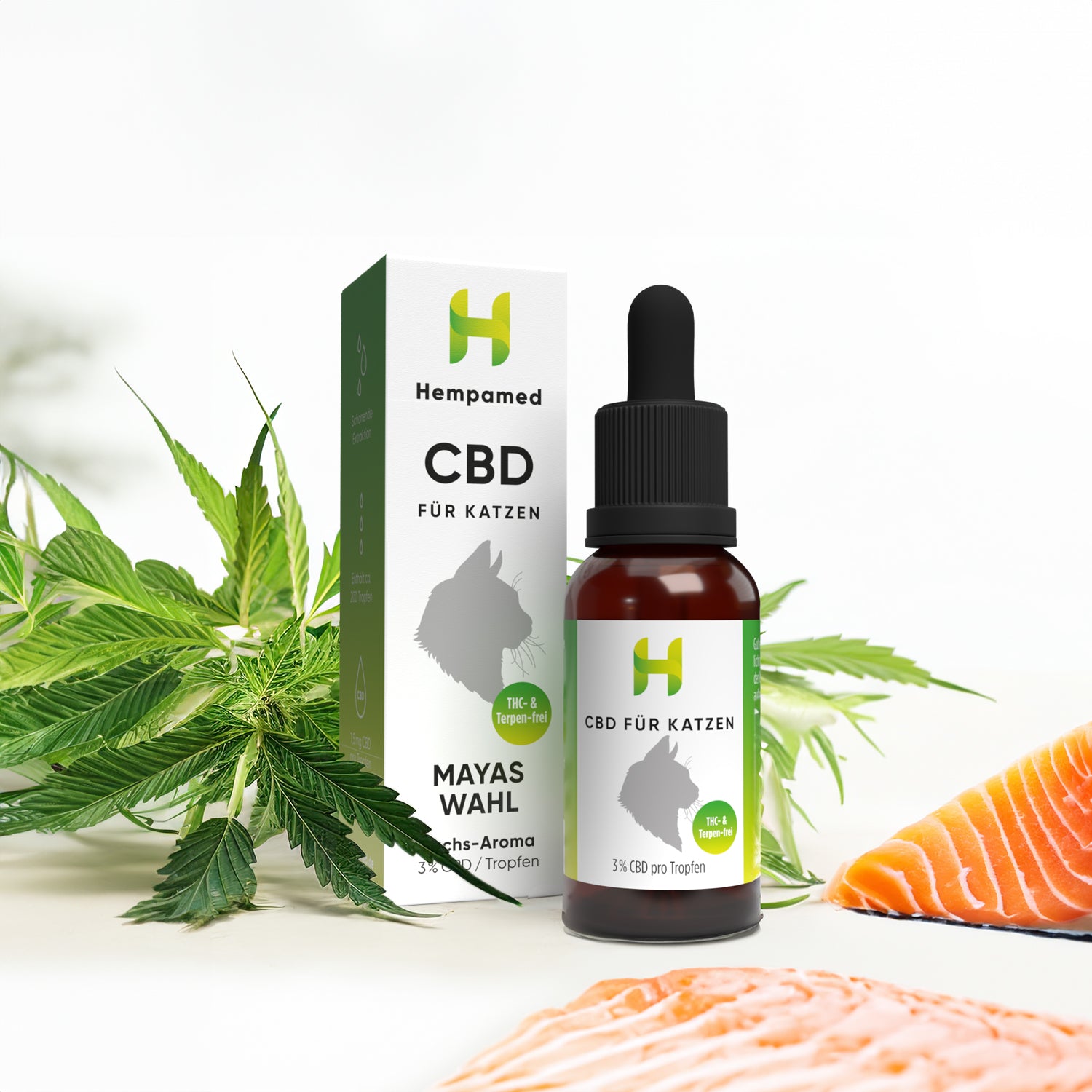 Foto: Hanfpflanzen für Hempamed CBD Öl für Katzen mit Lachs, natürliche Inhaltsstoffe im Fokus.