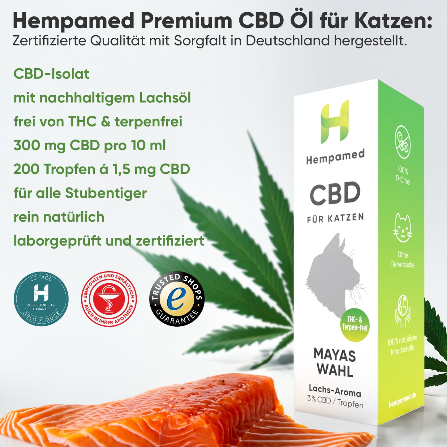 3x Premium CBD Öl für Katzen 3 % (Lachs-Aroma)