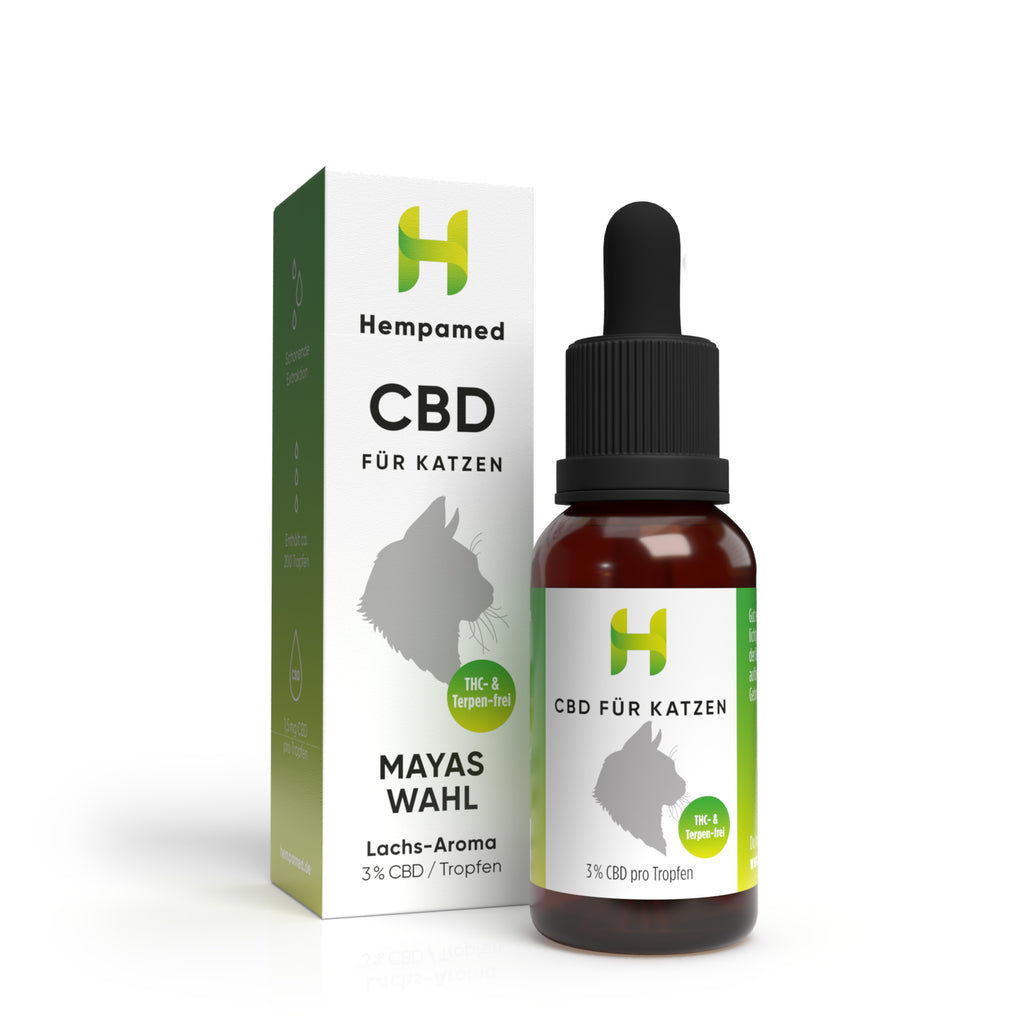 Verpackung: Hempamed CBD Öl für Katzen mit Lachs, Produktbox in Detailansicht.