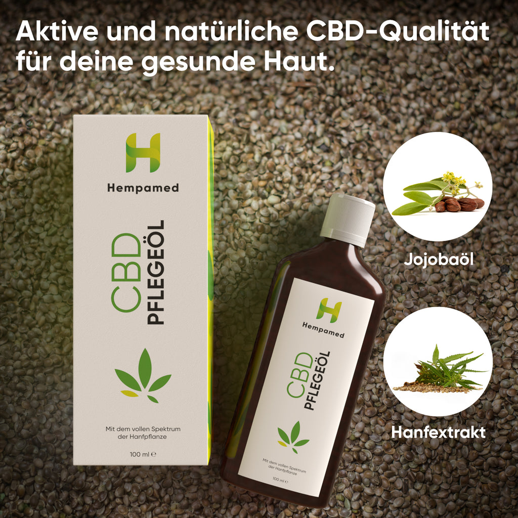 Hanfpflanzen für Hempamed CBD Pflegeöl, natürliche Inhaltsstoffe im Mittelpunkt.