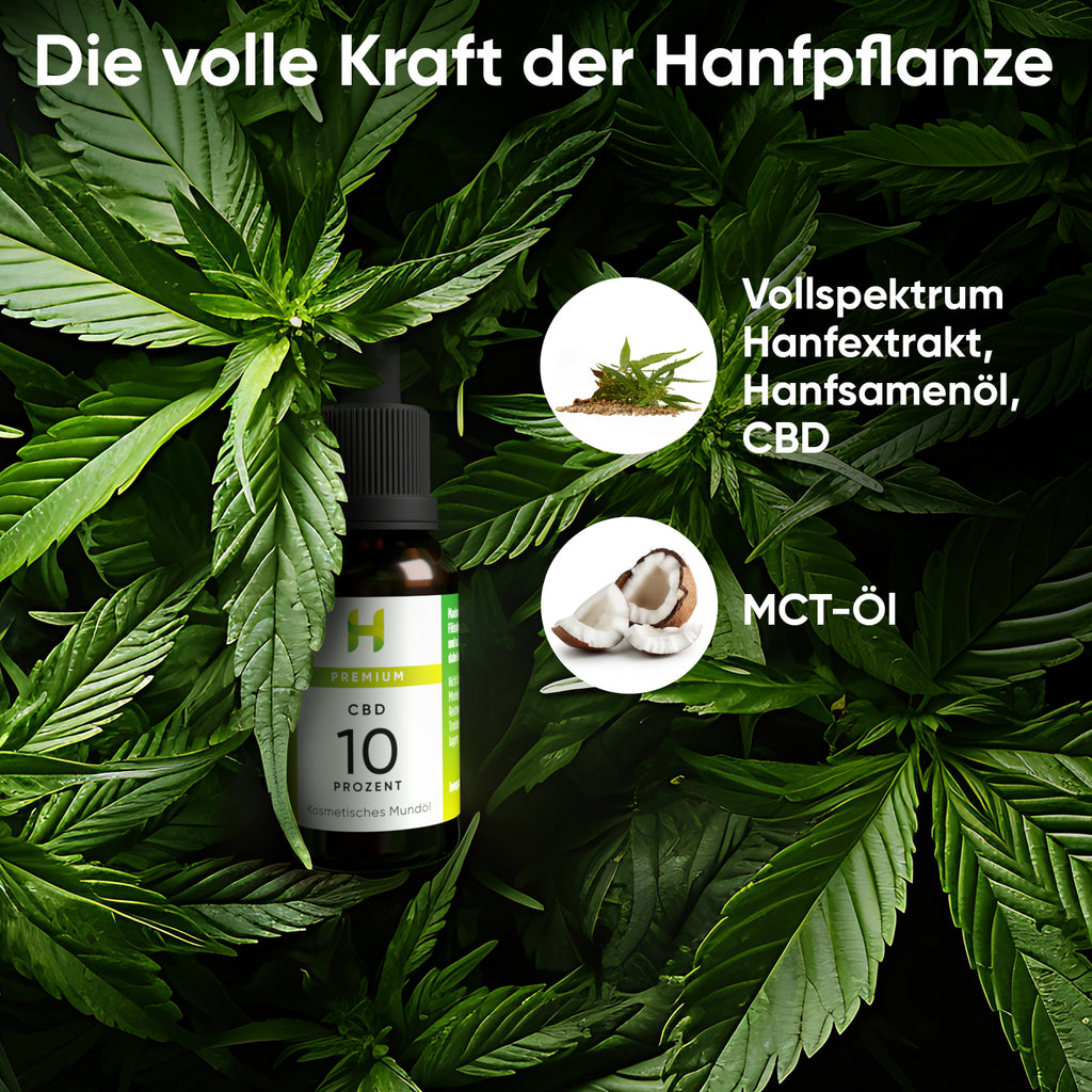 Hanfpflanzen für Hempamed Premium CBD Öl 10%, natürliche Inhaltsstoffe im Fokus.