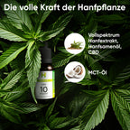 Hanfpflanzen für Hempamed Premium CBD Öl 10%, natürliche Inhaltsstoffe im Fokus.