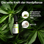 Hanfpflanzen für Hempamed Premium CBD Öl 5%, natürliche Inhaltsstoffe im Detail.