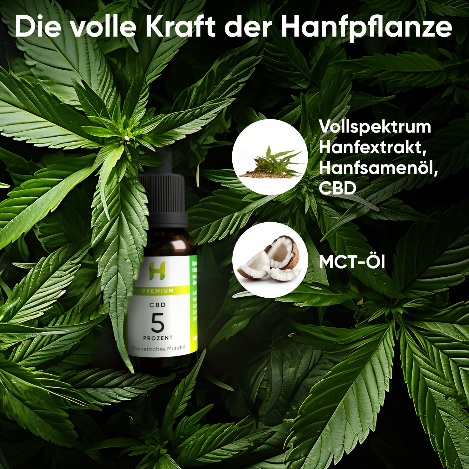 Hanfpflanzen für Hempamed Premium CBD Öl 5%, natürliche Inhaltsstoffe im Detail.