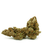 Produktfoto: Amnesia CBD Blüte von Hempamed, Detailansicht der hochwertigen Aromablüte.