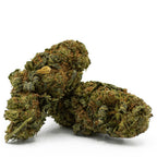 Produktbild: Gorilla Glue CBD Blüte von Hempamed, Premium Aromablüte mit intensivem Aroma.