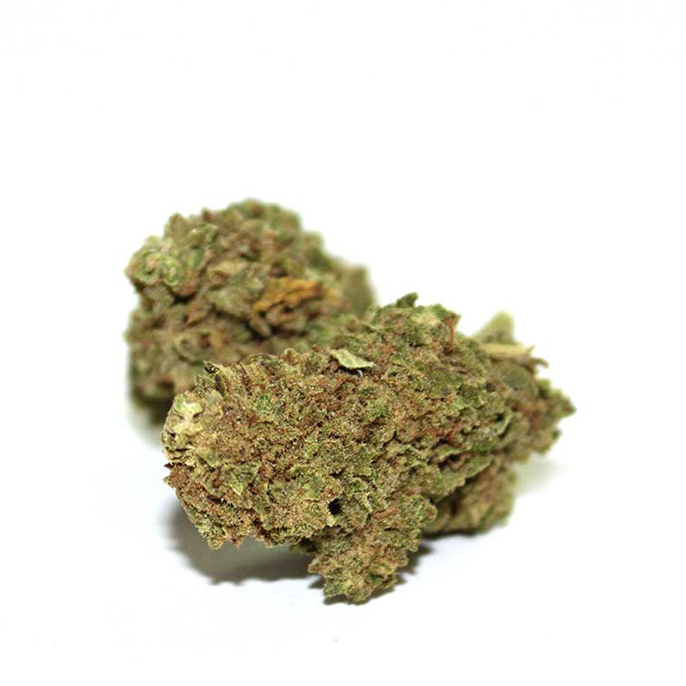 Foto: OG Kush CBD Blüte von Hempamed, beliebte CBD-Sorte für entspannte Momente.